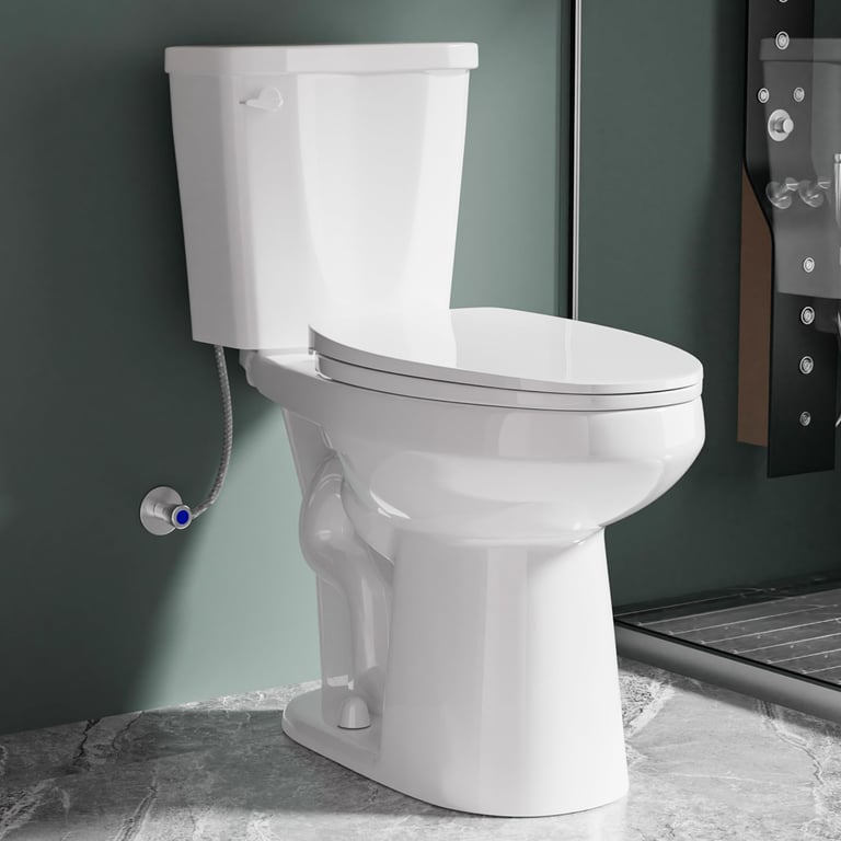 Vomlor Tall Toilet