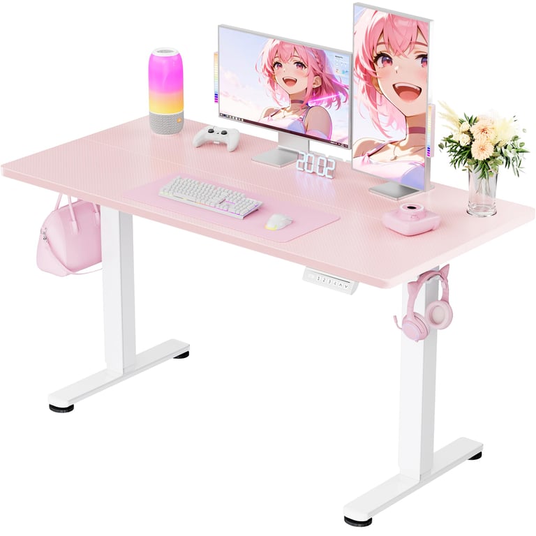 ErGear Electric Standing Desk