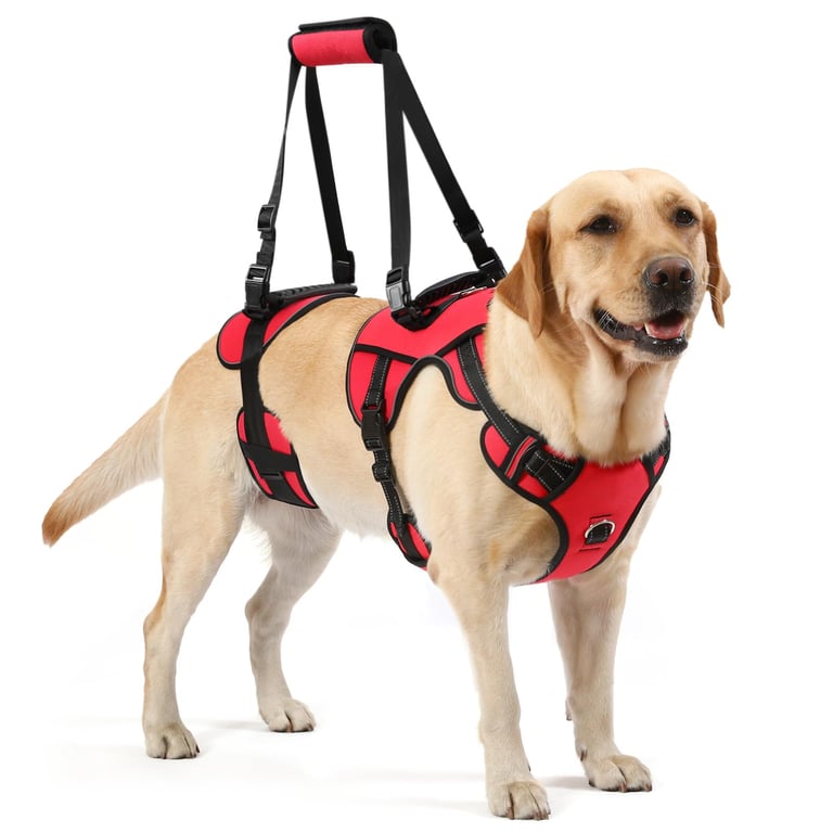Noyal Dog Lift Harness