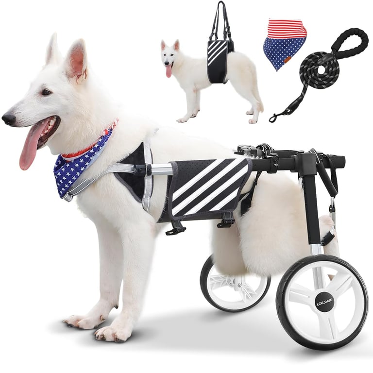 Lokshun Adjustable Dog Wheelchair