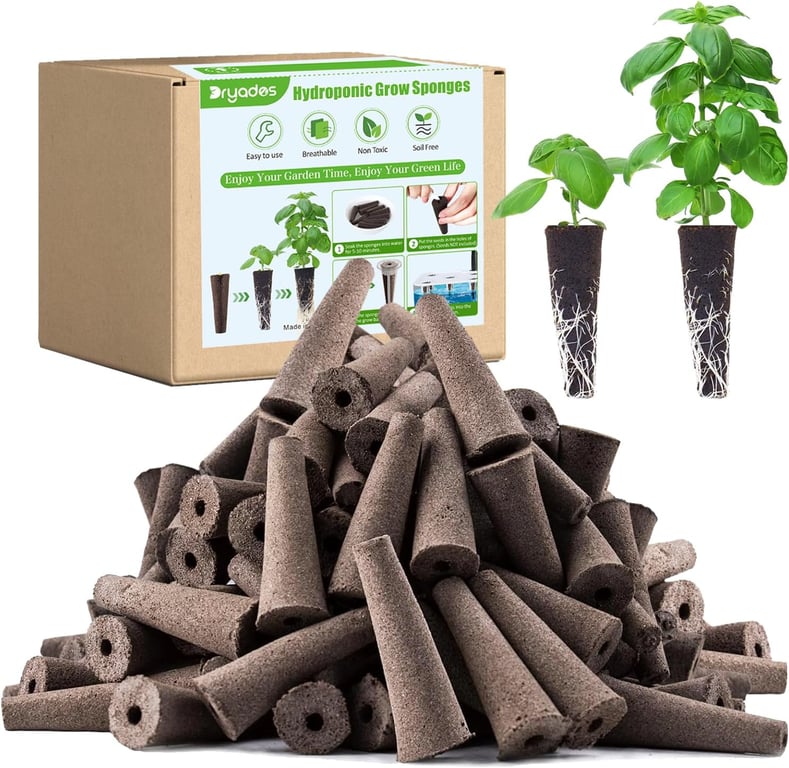 Dryades Grow Sponges