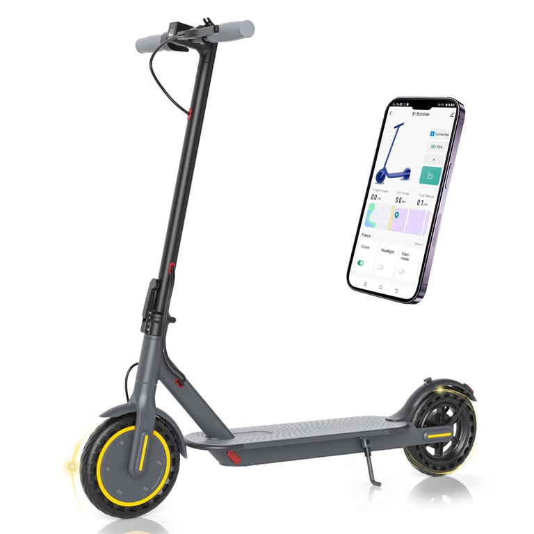 Roinside Electric Scooter