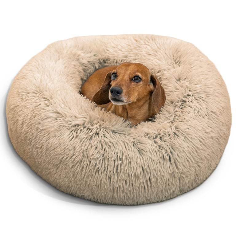 Sheri Calming Donut Dog Bed