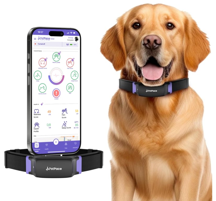 PetPace Dog Health Monitor