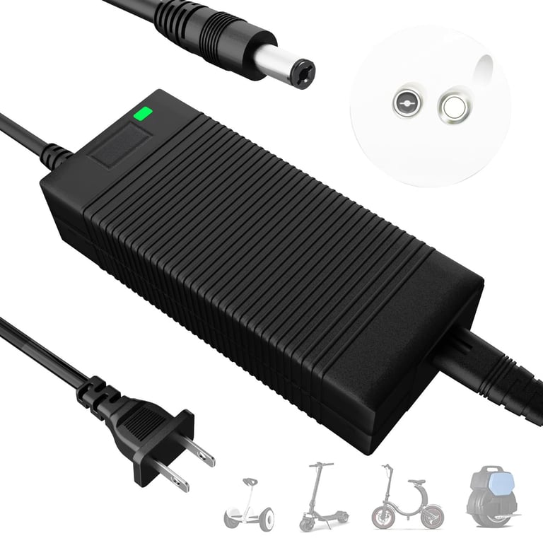 EVAPLUS 54.6V Smart Charger