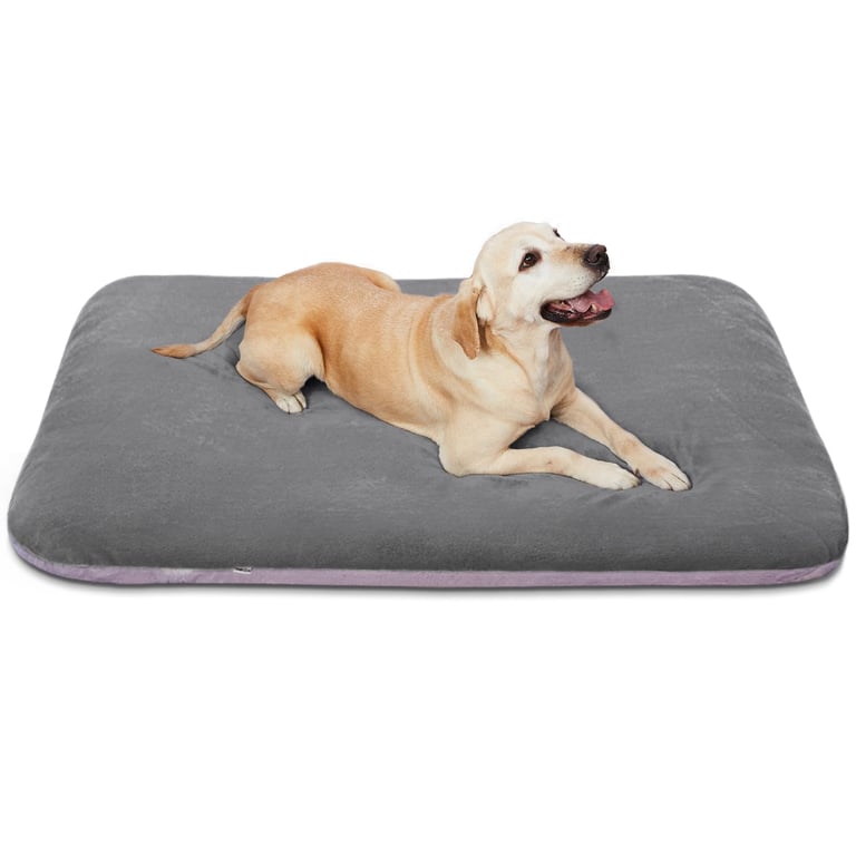Magic Dog Orthopedic Dog Bed
