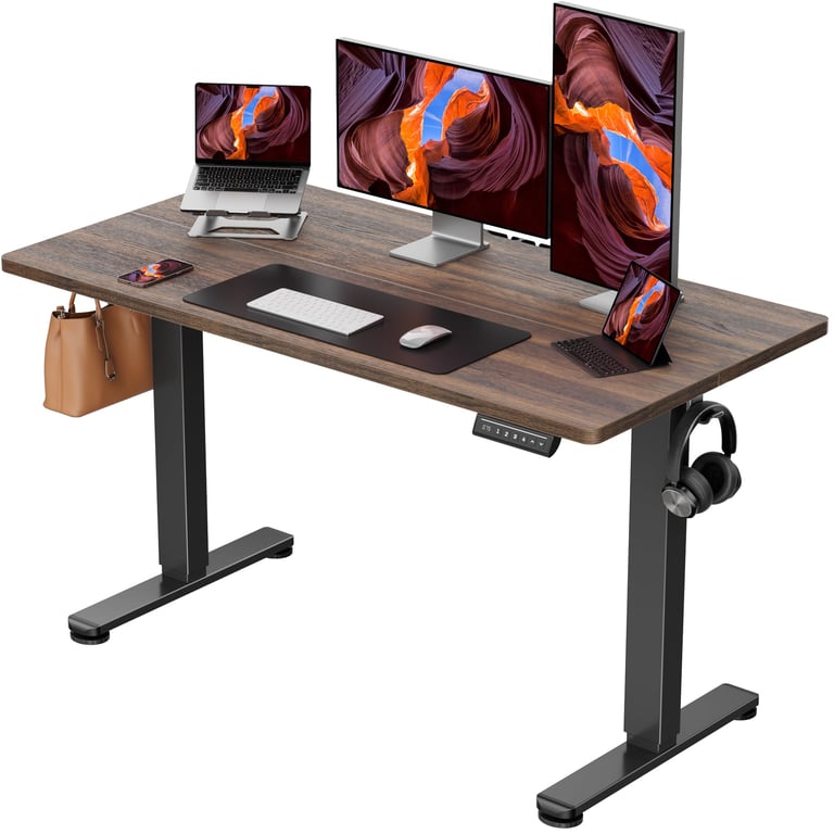 ErGear Height Adjustable Standing Desk