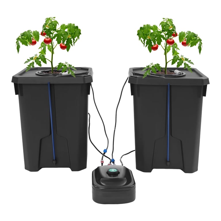 HCYHSLH DWC Kit