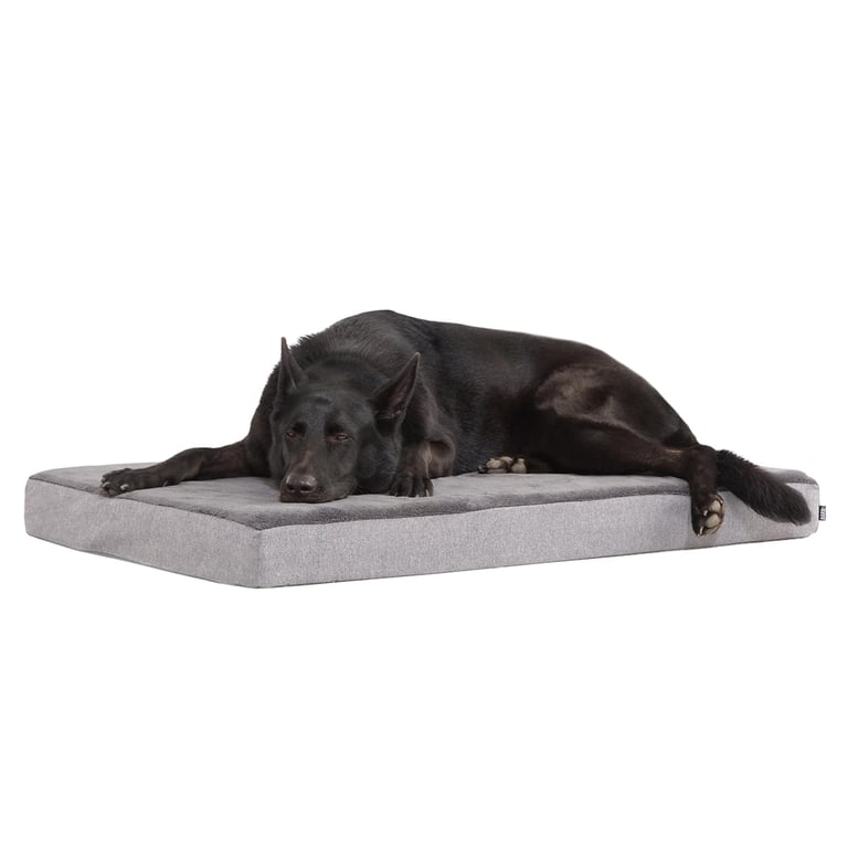 Barkbox Orthopedic Memory Foam Dog Bed
