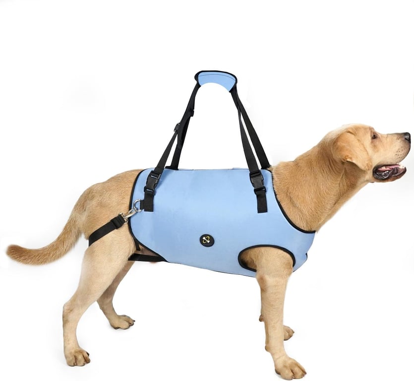 Coodeo Dog Lift Harness