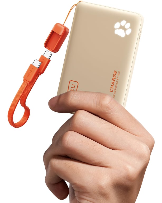 INU 45W Fast Charger