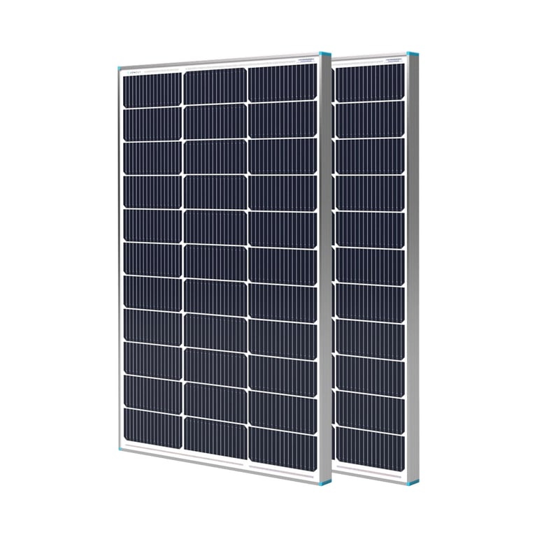 Renogy 100W Solar Panel (2-Pack)