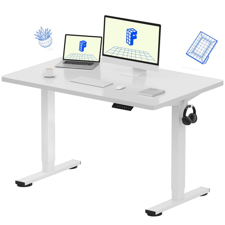 FLEXISPOT EN1 Electric Standing Desk 48