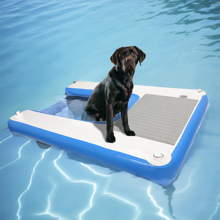 Toriexon Inflatable Water Ramp