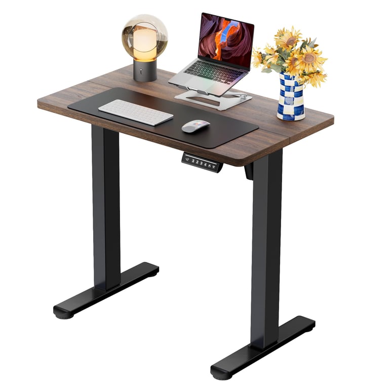ErGear 32-inch Electric Standing Desk