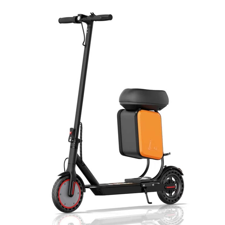 Riuiio Electric Scooter