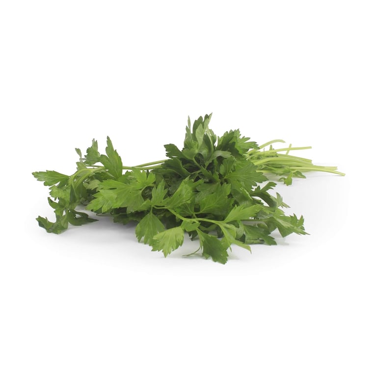 Fresh Produce Organic Italian Parsley