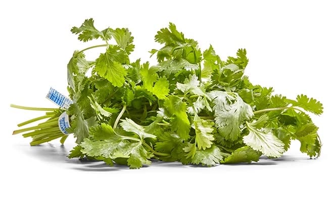 Organic Cilantro Bunch
