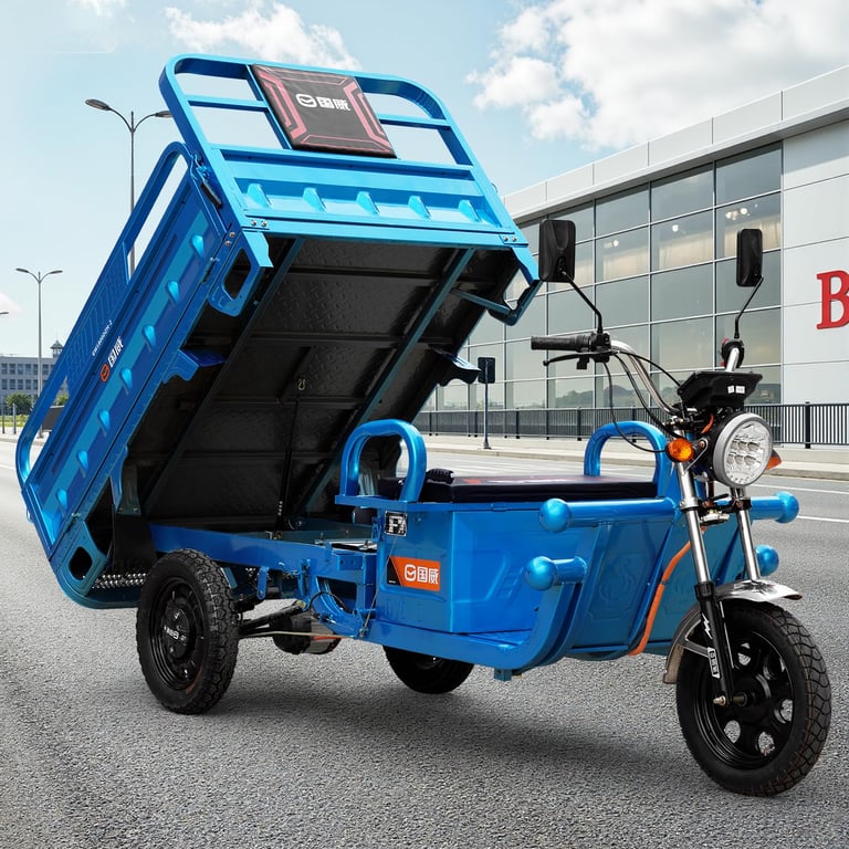ASHOMELI Cargo Tricycle