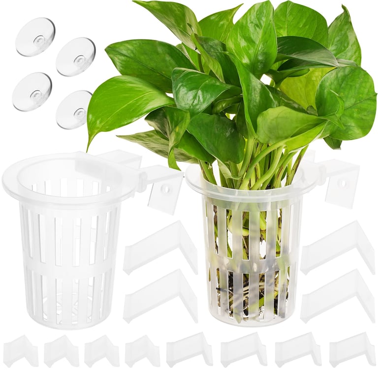 Borlech Aquarium Plant Holder