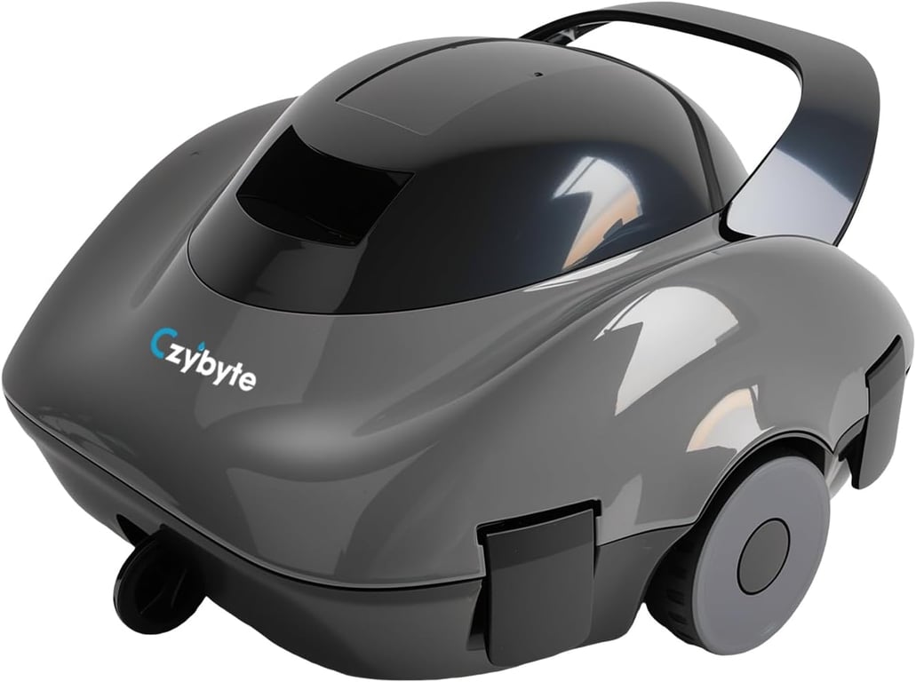 CZYBYTE