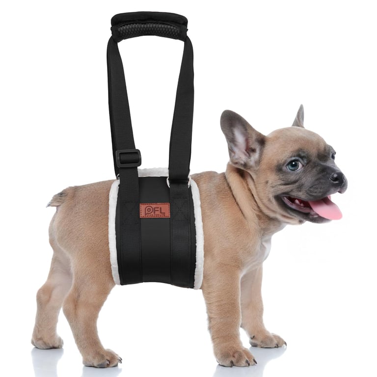 PICK FOR LIFE Dog Lift Harness