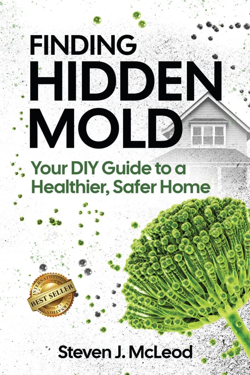 Finding Hidden Mold