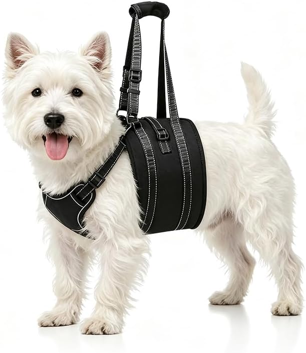 Noyal Dog Lift Harness