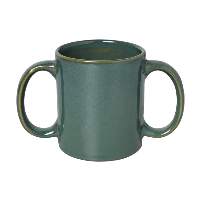 HealthGoodsIn Dual Handle Mug
