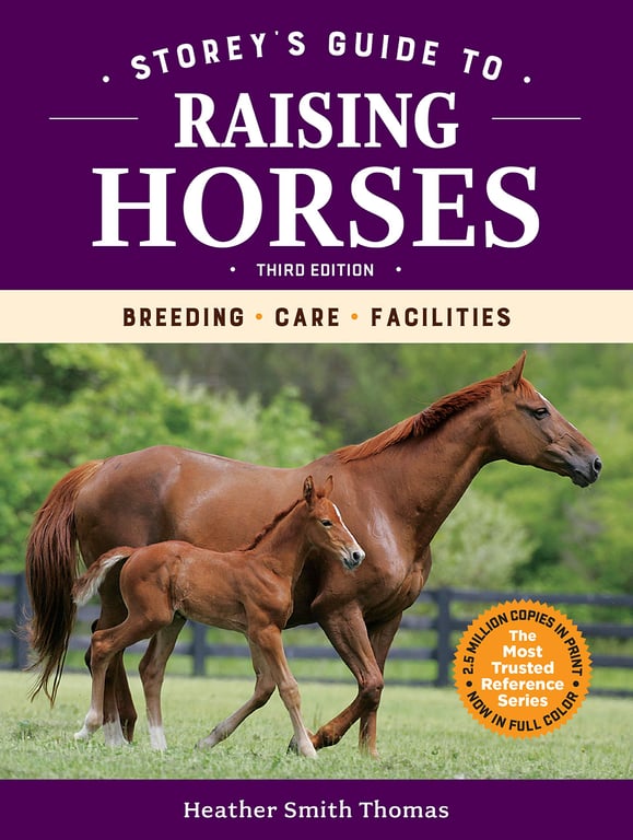 Store's Guide to Raising Horses
