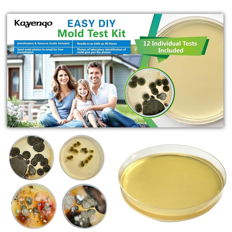 KAYENQO Home Mold Test Kit