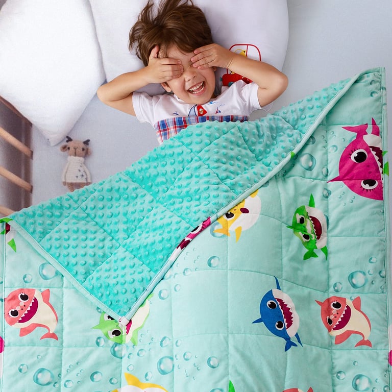Sivio Minky Weighted Blanket