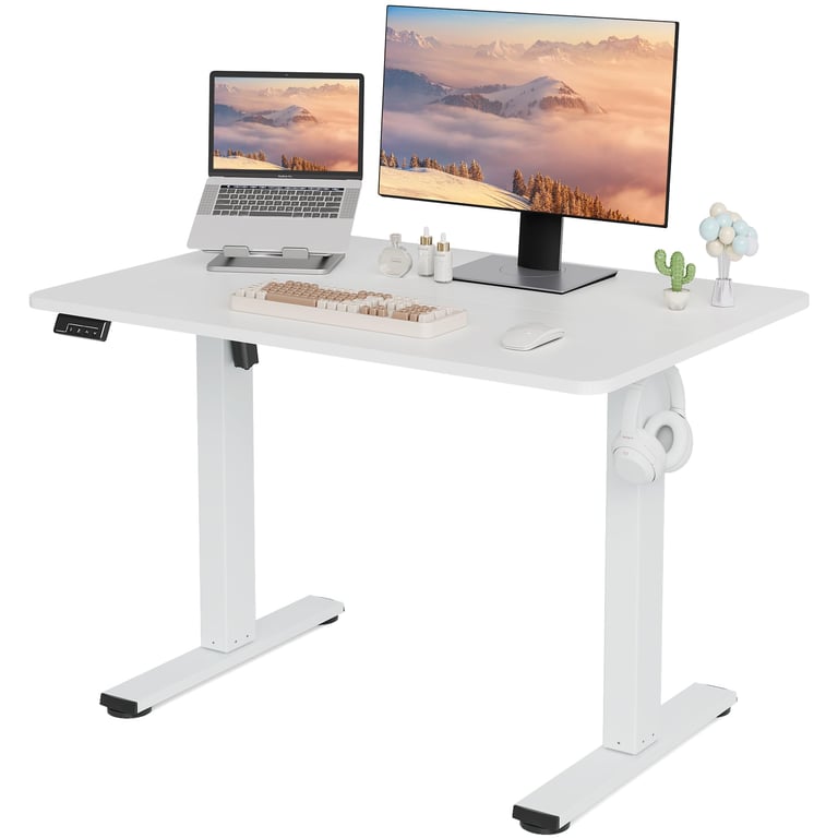 LongKe Adjustable Standing Desk
