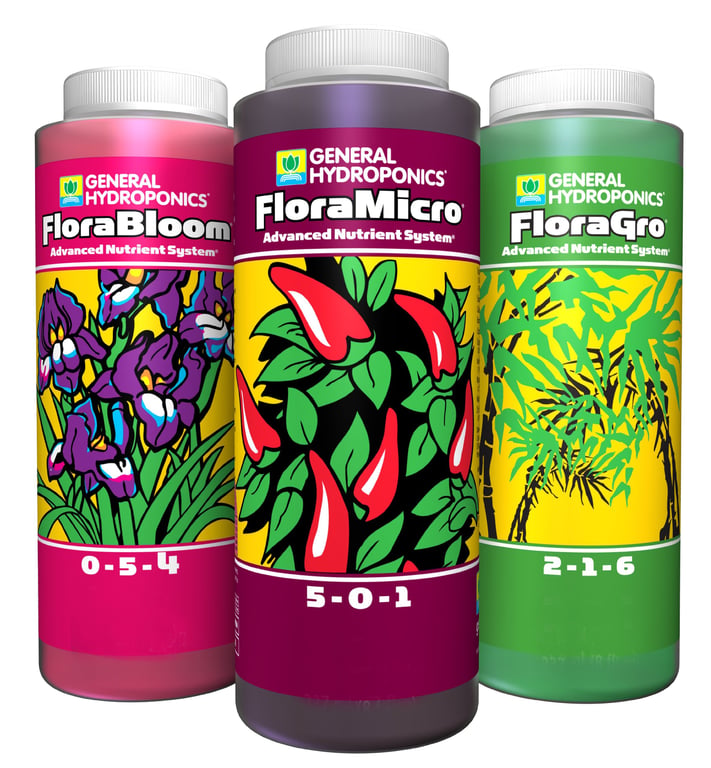 Flora Series 16oz Set