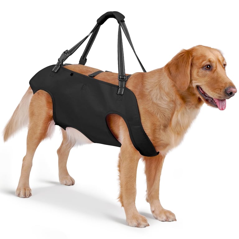 Mayerzon Dog Lift Harness