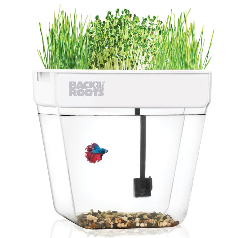 Back to the Roots Aquaponic Garden