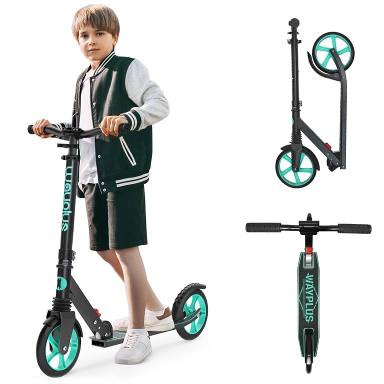 WAYPLUS KS1 Kick Scooter