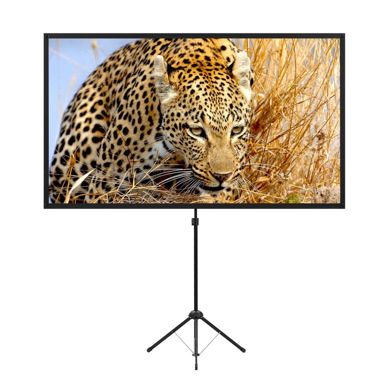 Excelimage 80 Inch Portable Projector Screen