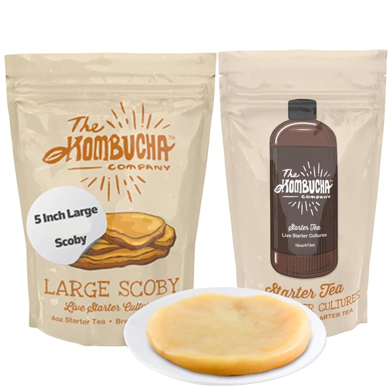 Kombucha SCOBY Kit