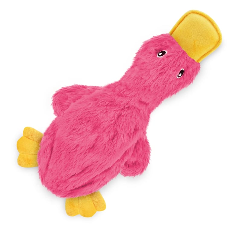 Best Pet Supplies Crinkle Duck Toy