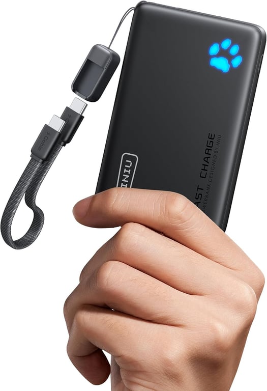INIU 10000mAh Power Bank