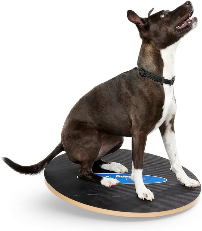 FitPaws® Wobble Board, Dog Balance Core Fitness Rehab Tool, Dog Fitness