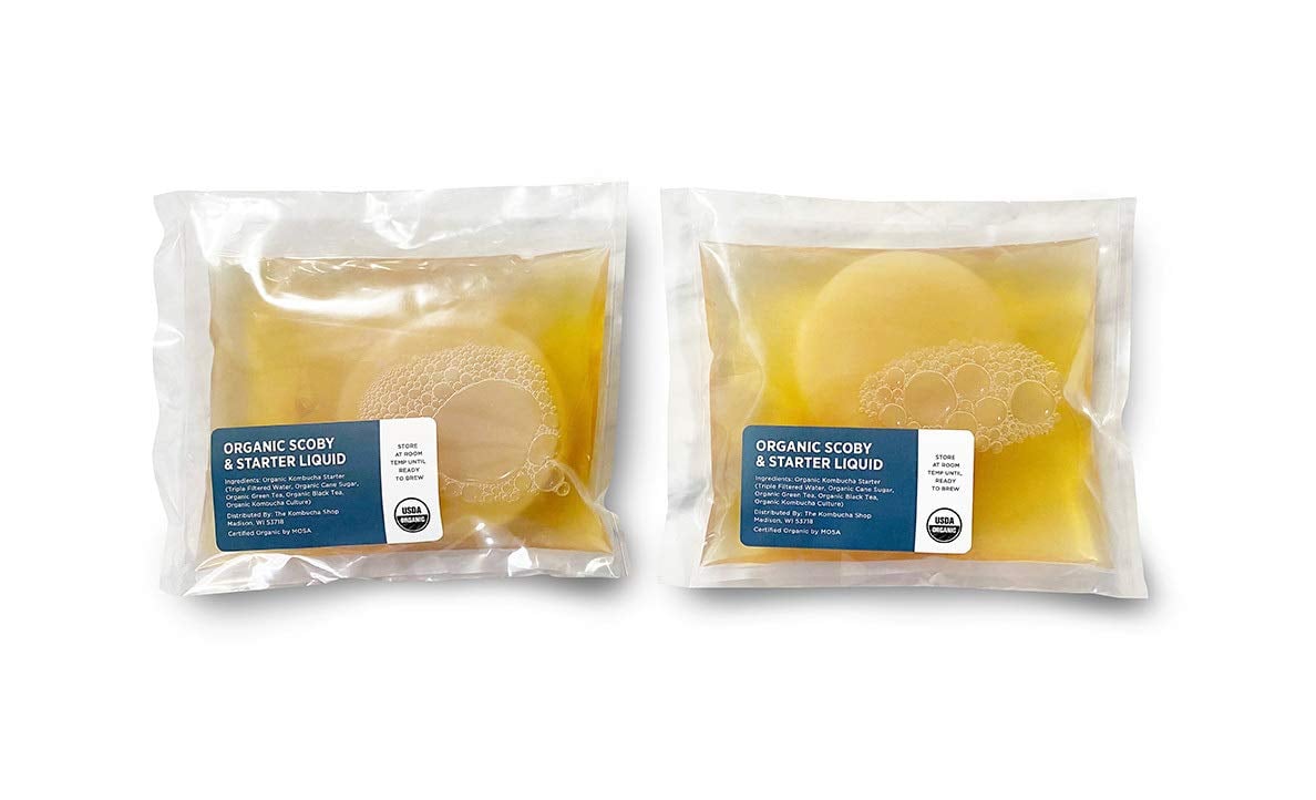 Urban Kitchen Organic SCOBY 2-Pack