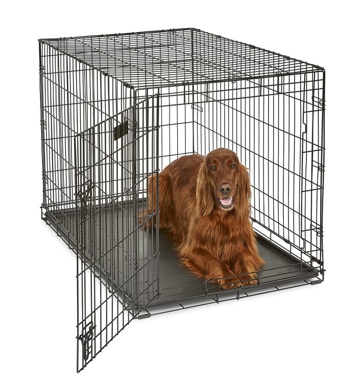 MidWest 42-Inch Folding Dog Crate