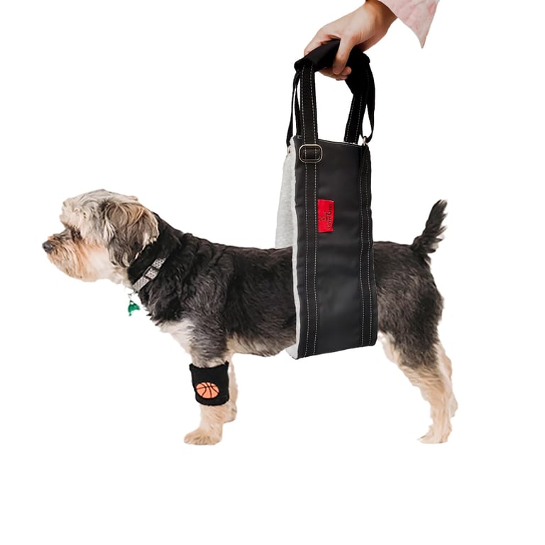 Cover Geny Dog Lift Harness