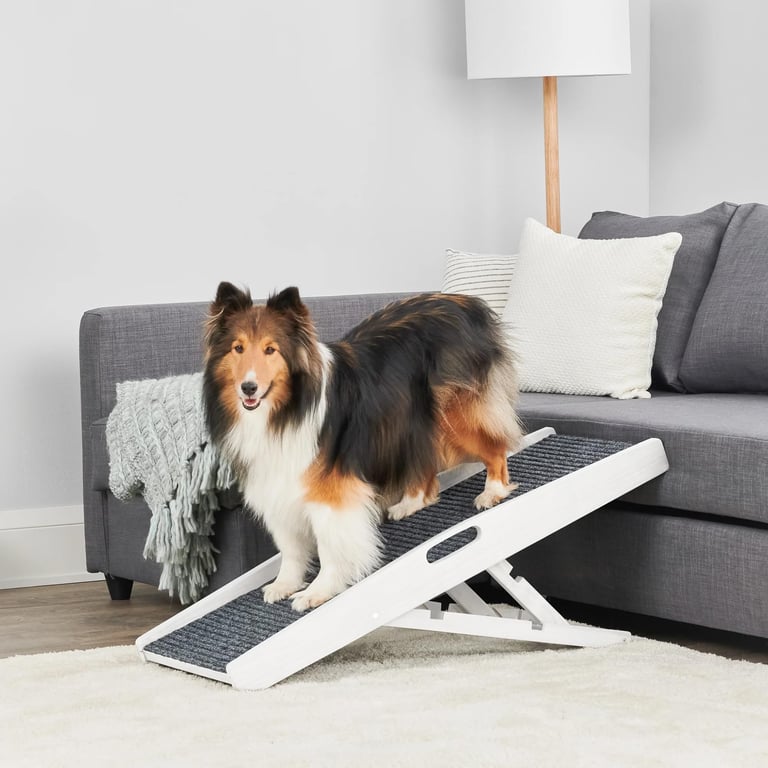 Carlson Indoor Pet Ramp