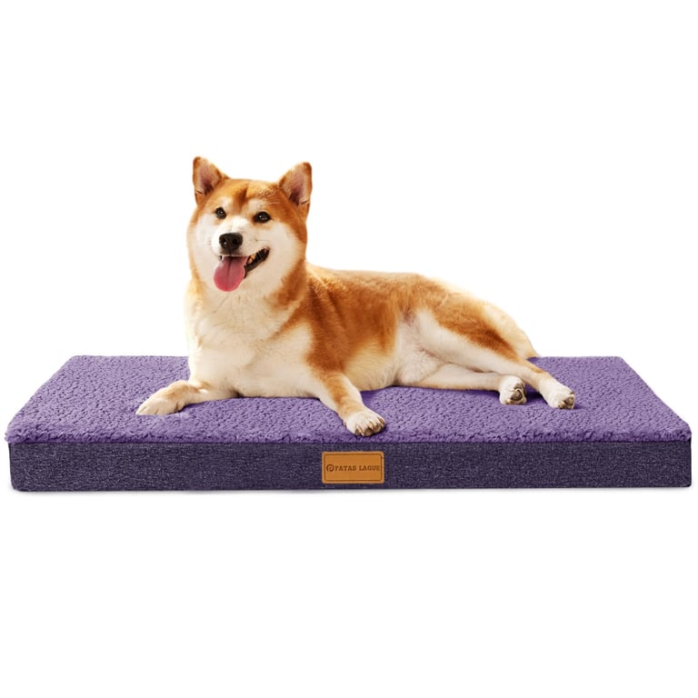 Patas Lague Orthopedic Dog Bed