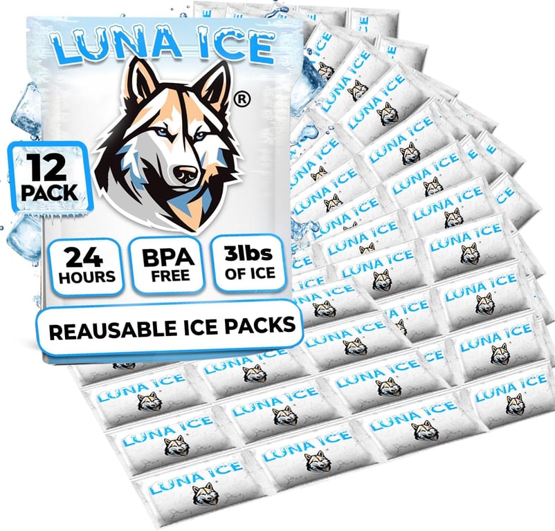 Luna Ice Dry Ice Packs