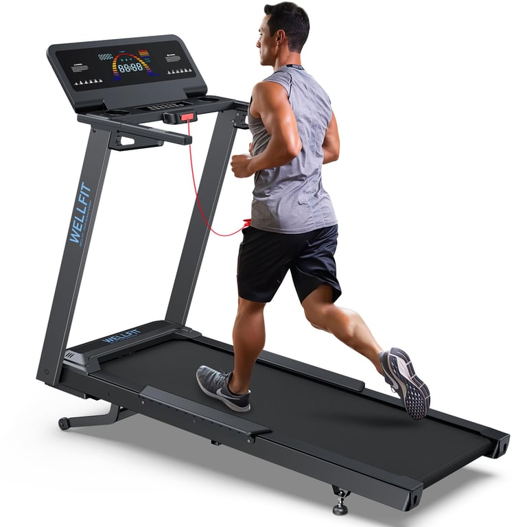 WELLFIT Auto Incline Treadmill