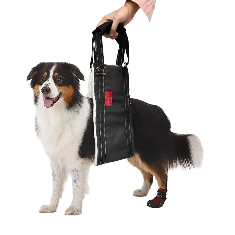 Cover Geny Dog Lift Harness L